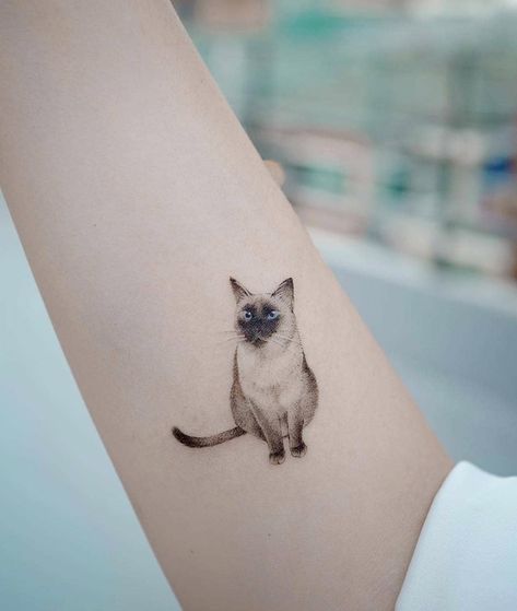 Siamese Cat Tattoo, Siamese Cat Tattoos, Cat Eye Tattoos, Minimalist Cat Tattoo, Watercolor Cat Tattoo, Small Animal Tattoos, Cat Tattoo Simple, See Tattoo, Cute Cat Tattoo