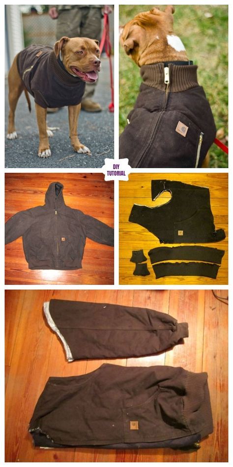 DIY Pet Coat and Sweater Free Sew Patterns & Tutorials Diy Dog Coat, Dog Coat Pattern, Dogs Diy Projects, Puppy Obedience Training, Positive Dog Training, Dog Tricks, Easiest Dogs To Train, Basic Dog Training, House Training Dogs