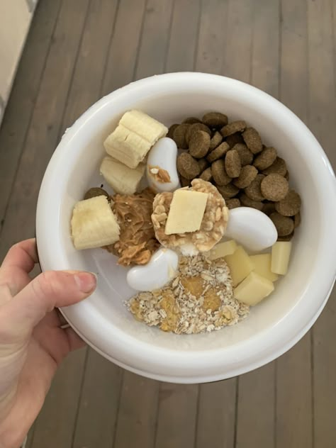 Dog Breakfast Ideas, Dog Food Bowl Aesthetic, Food Bowls For Dogs, Behind The Net, Stephanie Archer, Dog Breakfast, Dog Meals, Dog Accesories, Puppy Mom