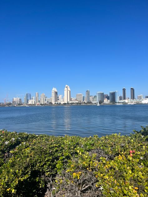 views from Coronado Island Coronado Island San Diego, Fake Insta Story, Coronado San Diego, Instagram Photos Ideas, San Diego Food, Apartment Wall Decor, Coronado Island, Fake Insta, Post Grad