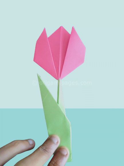 Origami Tulip Instructions - Easy To Follow Guide - Tulip Origami Easy, Paper Jet, Origami Cup, Tulip Origami, Origami Tulip, Best Paper Plane, Aesthetic Tulips, Origami Airplane, Origami Flowers Tutorial