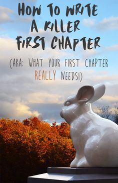 Untitled Writing The First Chapter, How To Start The First Chapter Of A Book, Writing First Chapter, How To Write A Good First Chapter, First Chapter Tips, Book First Lines, Book Publishing Logo, Writer Tips, Writers Notebook