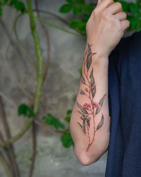 Cindy Vanschie flowering gum tree branch Tattoo Tattoo Artists, Gum Tree Tattoo, Leaves Tattoo, Gum Leaves, Native Tattoos, Gum Tree, Tree Tattoo, Leaf Tattoos, Maple Leaf Tattoo