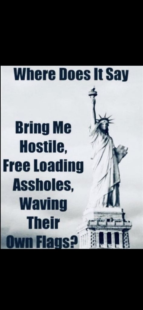 Patriotic Quotes, I Love America, Historical Quotes, Funny Thoughts, Funny Jokes For Adults, Sarcastic Quotes Funny, Truth Hurts, Twisted Humor, Quotable Quotes