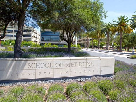 Best Medical Schools, Stanford Medical School, University Inspiration, 10 Year Plan, Usa University, Med School Motivation, University Architecture, University School, School Admissions