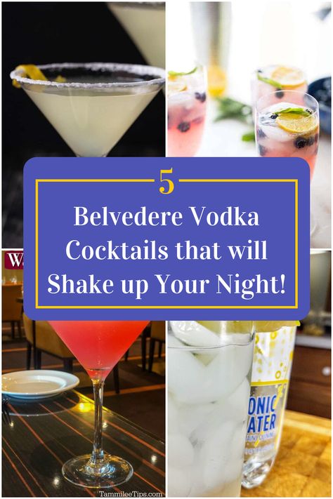 Collage of 4 belvedere vodka cocktails. Vodka Mixed Drinks, Belvedere Vodka, Picnic Birthday Party, Vodka Cocktails Recipes, Vodka Cocktail, Cocktail Ideas, Vodka Recipes, Picnic Birthday, Vodka Drinks