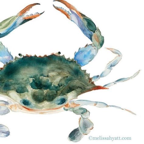 Blue Crab Decor, Blue Crab Watercolor, Crab Watercolor, Crab Painting, Art Plage, Maryland Blue Crab, Crab Art, Crab Print, Crab Decor