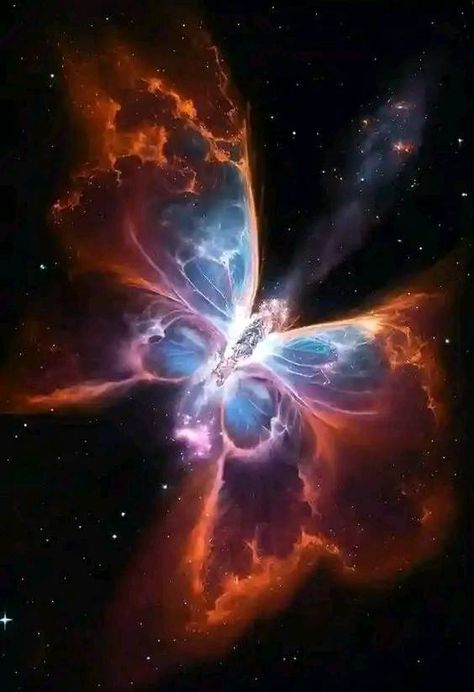 The James Webb Space Telescope (JWST) | The Butterfly Nebulae Captured by Hubble | Facebook Hubble Images, Hubble Telescope Pictures, Hubble Telescope Images, Butterfly Nebula, Galaxy Artwork, Planetary Nebula, Nebula Wallpaper, Eagle Nebula, Telescope Images