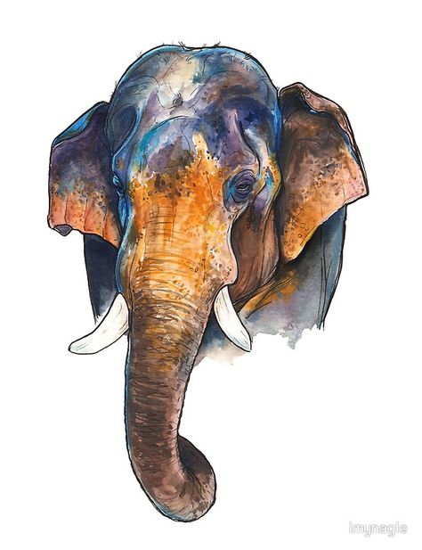 ASIAN ELEPHANT Elephant Head Drawing, Indian Elephant Drawing, Elephant Art Drawing, Pen Portrait, Elephant Sketch, Elephant Artwork, Elephant Poster, Phone Cases Stickers, Elephants Photos