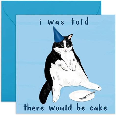 Cat Lady Birthday, Fun Birthday Cards, Cat Birthday Cards Funny, Cards For Mom, Happy Birthday Drawings, Happy Birthday Cat, Funny Postcards, Birthday Card For Her, 21st Birthday Cards