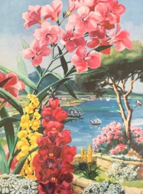 Excited to share this item from my #etsy shop: Tropical Flower Prints, Lot of 6 Prints, Vintage Ephemera, 1940 Prints Vintage Hawaiian Posters, Tropical Flowers Illustration Botanical Prints, 50s Tropical Aesthetic, 90s Tropical Aesthetic, Vintage Hawaiian Print, Vintage Tropical Aesthetic, Vintage Tropical Art, Tiki Wedding, Lychee Martini