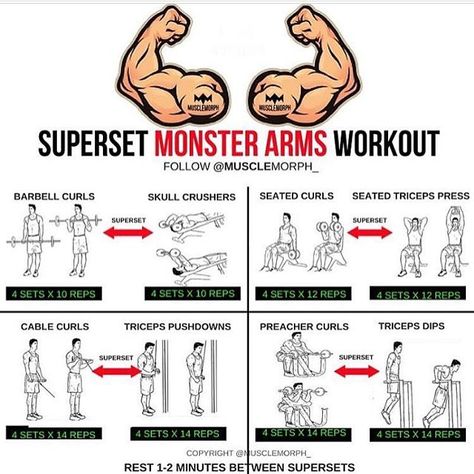 Want BIGGER Arms? Try this workout LIKE/SAVE IT if you found this useful. FOLLOW @musclemorph_ for more exercise & nutrition tips  . *A Superset is when you do two exercises back to back with no rest between them. The goal here is not to move heavy weights; you'll use lighter weights than normal to hit target rep ranges . TAG A GYM BUDDY . ✳Enhance your progress with @musclemorph_ Supplements ➡MuscleMorphSupps.com #MuscleMorph Arm Workout Men, Exercises Back, Big Biceps Workout, Workouts For Men, Arm Training, Bicep And Tricep Workout, Arm Workouts, Bigger Arms, Arm Muscles