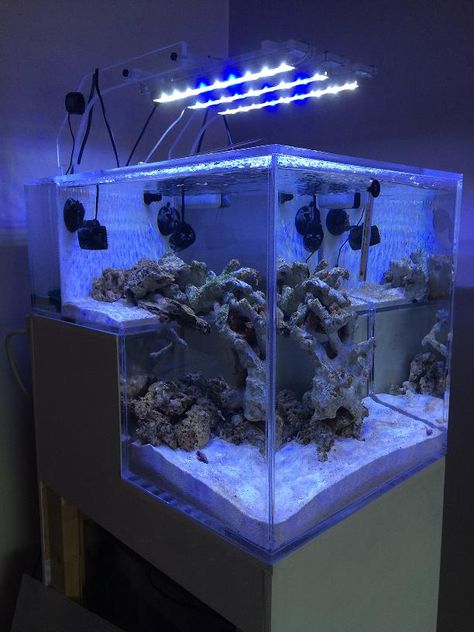 Saltwater Tank Setup, Reef Aquascape, Reef Tank Design, Nano Reef Tank, Acrylic Aquarium, Coral Reef Aquarium, Reef Tanks, Air Laut, Aquarium Landscape