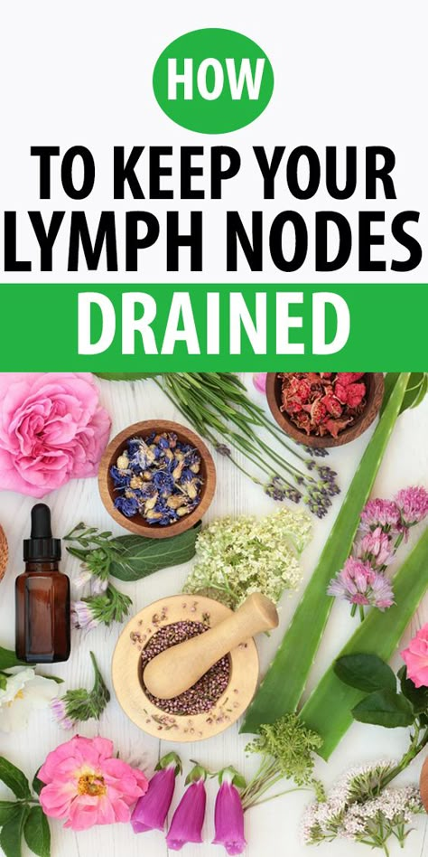 Lymph Drainage Massage, Lymph Glands, Lymph Node, Drainage Massage, Lymph Massage, Lymph System, Lymph Drainage, Health And Fitness Magazine, Lymph Nodes