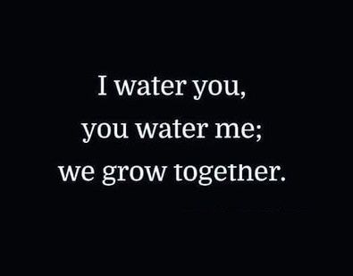 Beautiful! :-) - I water you, you water me; we grow together - #couple #together #water #nurture #support #grow #ride Growing Couples Quotes, We Are Awesome Together, Watering Each Other Relationship, Organic Relationship Quotes, Grow With You Quotes Relationships, Couple Support Quotes, Relationship Growth Quotes Couple, Growing In Relationships Quotes, Grow Together Quotes Relationships