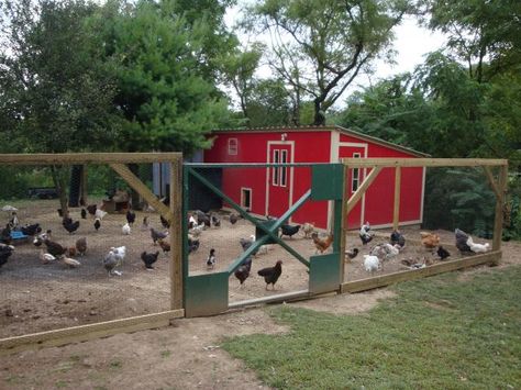 Reban Ayam, Large Chicken Coop, Easy Chicken Coop, Duck Coop, Portable Chicken Coop, Chicken Pen, Diy Chicken Coop Plans, Chicken Coop Run, Coop Design