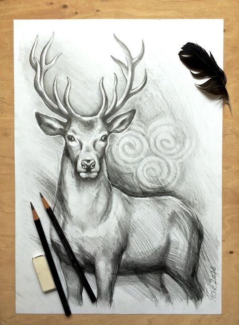 Pencil Sketches Of Animals, Deer Sketch, Realistic Animal Drawings, Pencil Drawing Images, Deer Drawing, Pencil Drawings Of Animals, Pencil Sketch Images, Animal Drawings Sketches, Cool Pencil Drawings