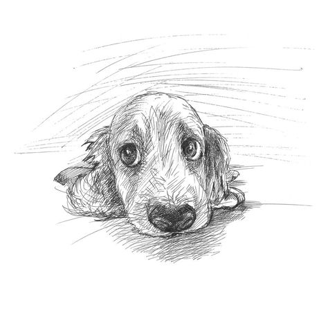 Dog Laying Down Drawing, Cute Puppy Sketch, Laying Down Drawing, Sketch Of Dog, Floor Illustration, Black Paintings, Laying On The Floor, Puppy Sketch, Easy Drawings For Beginners