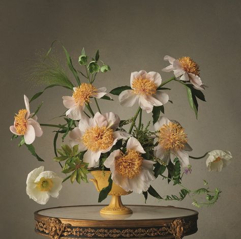 Dutch Masters, Arrangement Ideas, Steven Meisel, Diy Vase, Deco Floral, Arte Floral, Beautiful Blooms, Philadelphia Pa, Design Floral