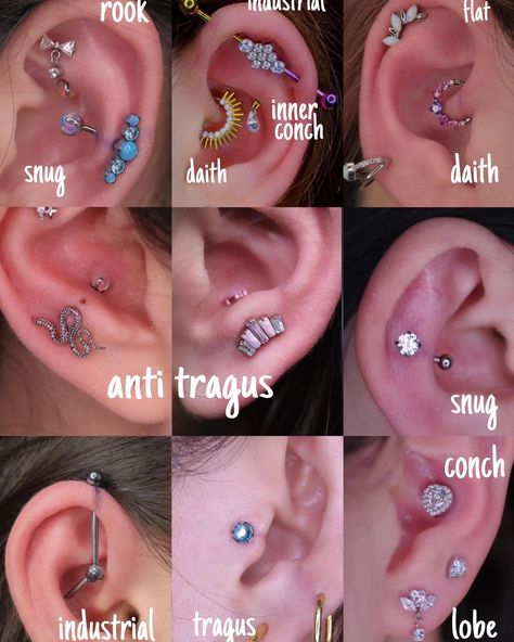 earring rings Constellation Piercing Ideas, Anatomy For Industrial Piercing, Spider Piercing, Ear Piercings Names, Industrial Ear Piercing, Ear Piercings Ideas, Industrial Earring, Hip Piercing, Eyebrow Piercing Jewelry