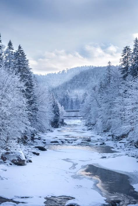 Winter Mountain Landscape, Peaceful Backgrounds, Scenery Mountain, Beautiful Winter Pictures, Mountain Trekking, Snowy Field, Snow Nature, Landscape Winter, Cabin In The Mountains