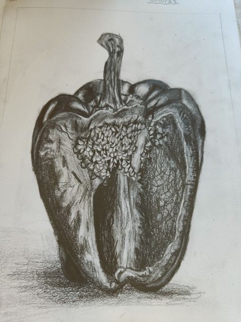 A tonal drawing of a bell pepper . Hope you like it😊 Tonal Pencil Drawing, Pepper Drawing Pencil, Pepper Drawing, Tonal Drawing, Organic Mechanic, Bell Pepper Plant, Biro Drawing, Classic Car Photography, Gcse Art Sketchbook