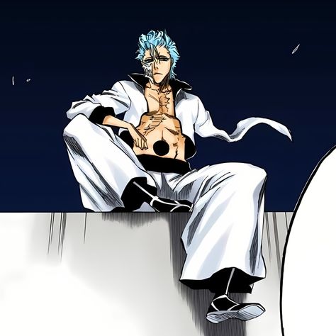 Grimmjow Icon, Grimmjow Bleach, Grimmjow Jaegerjaquez, Grimm, Bleach, Instagram Photos, Wall, Anime, Instagram