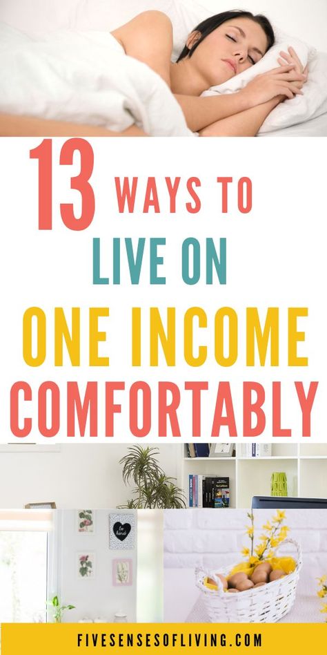 Live On One Income, One Income Family, Saving Plan, Family Money, Best Money Saving Tips, Save Money Fast, Family Budget, Family Finance, Sales Tips