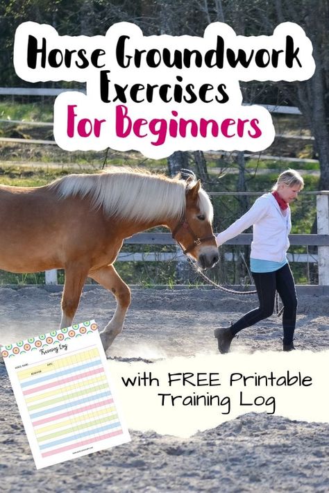 As a beginner, there are few basic groundwork exercises that you should consistently work on until you have mastered them with your horse. These basic exercises will give you a foundation of on the ground skills that will set the stage of respect and understanding between you and your horse.This free printable PDF Horse Training Log will act as a sort of checklist and training record for your horse. See what you have done well and what you need to improve on! Horse Lessons Beginner, How To Train Your Horse, Ground Exercises For Horses, Daily Horse Care Routine, Horse Bonding Exercises, Ground Work For Horses Exercises, Horse Groundwork Exercises, Horse Ownership For Beginners, Horse Stretching Exercises