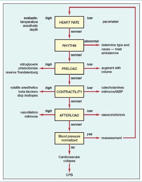 Management of hemodynamics in the postbypass period. Hemodynamics Nursing, Nurse Study, Cardiac Nurse, Beta Blockers, Nurse Study Notes, Surgical Nursing, Medical Surgical Nursing, Cardiac Nursing, Critical Care Nursing