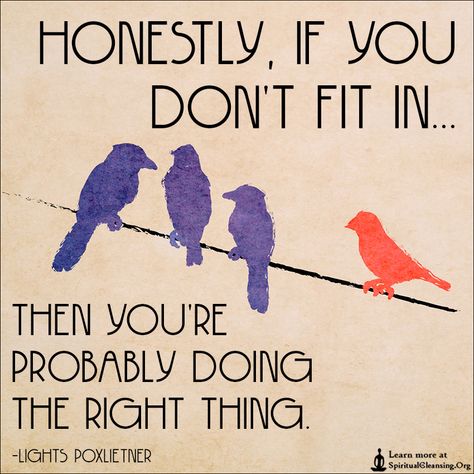 Honestly, if you don’t fit in then you’re probably doing the right thing.—Now go do the right thing. Gossip Quotes, Inspirational Quotes Images, Love Wisdom, Doing The Right Thing, Inspirational Quotes With Images, Quotes Images, Quotable Quotes, Infj, Image Quotes