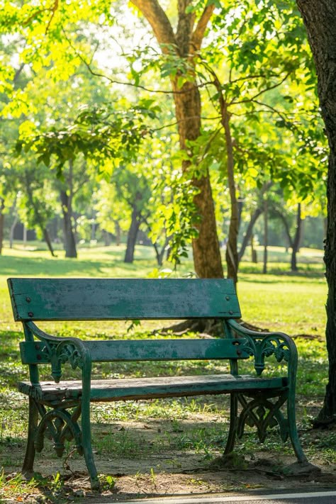 Outside Background, Victorian Study, School Of Motion, Bluey Art, Outside Benches, Fred Again, Green Bench, Background Tree, Old Benches