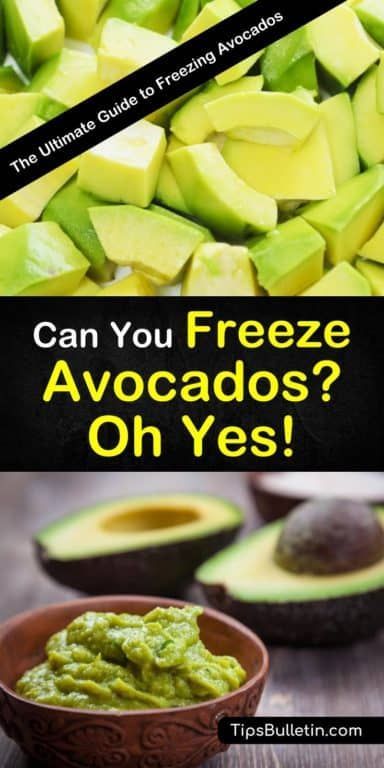 Can I Freeze Avocado, How To Freeze Avocado How To Store, How To Freeze Avocados, Can You Freeze Avacodos, Freezing Avocados How To, Best Way To Store Avocados, What To Do With Ripe Avocados, Freezing Avacados, Avocado Freezing