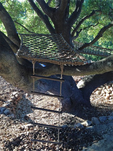 Woven tree platforms, see more of our rope het creations on our website! We also specialize in custom treehouses. Organic Tree House, Nature Cubby House, Tree House Hammock, Tree Platforms For Adults, Natural Tree House, Net Tree House, Tree House Nets, Simple Tree Fort, Hangout Spot Ideas Outside