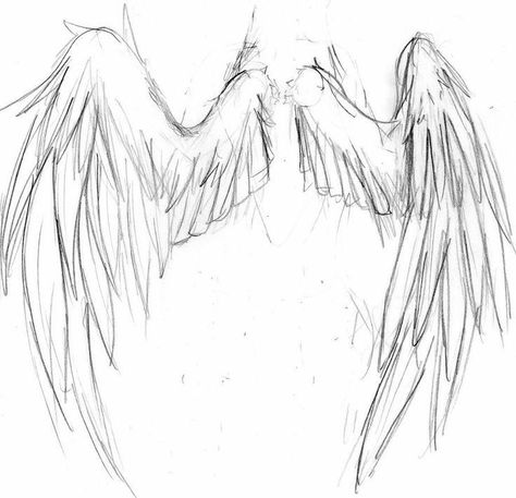 Wings Drawing, Seni Dan Kraf, Wings Art, 캐릭터 드로잉, Drawing Stuff, Book Art Drawings, Art Tutorials Drawing, Art Drawings Sketches Simple, Cool Art Drawings