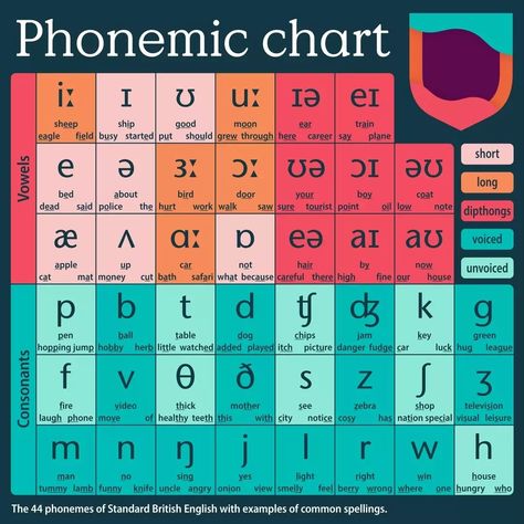 @cambridgeenglishteaching shared a photo on Instagram: “Do you use a phonemic chart in the classroom? It can be an invaluable tool when teaching students pronunciation e.g. showing symbols for…” • May 19, 2022 at 4:41pm UTC Dipthongs Chart, Phonetics English Chart, Phonics For Adults, Phonemes Chart, English Phonetic Alphabet, Ipa Chart, Phonetic Chart, Speech Language Pathology Grad School, Phonetics English