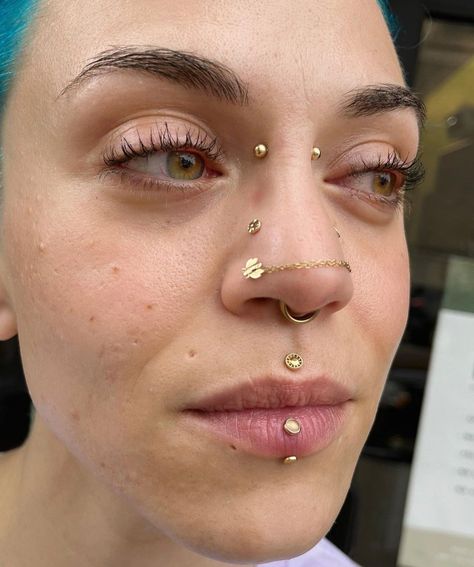 Piercing Curation, Nose Bridge Piercing, Facial Piercing, Body Modification Piercings, Pretty Piercings, Vertical Labret, Lip Piercings, Types Of Ear Piercings, Piercing Inspo