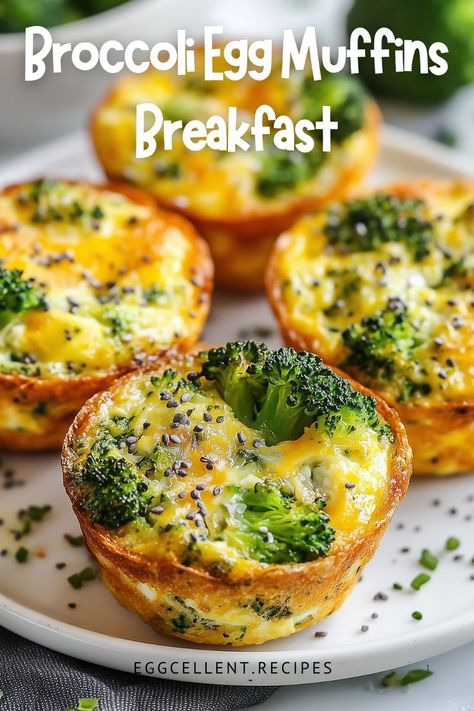 If you are in the mood for a healthy and delicious breakfast, Egg and Broccoli Breakfast Muffins are the perfect choice. #egg muffins breakfast healthy broccoli #egg muffins breakfast broccoli cheddar #broccoli egg muffins breakfast #breakfast egg muffins with broccoli #Breakfast Muffins #Breakfast Muffins recipes #Breakfast Muffins egg # Breakfast Muffins healthy #Breakfast Muffins for kids #Breakfast Muffins recipes egg #breakfast muffins recipes easy #breakfast muffins recipes healthy Eggs Broccoli Breakfast, Muffin Omelets Breakfast, Healthy Breakfast Muffins Recipes, Breakfast Egg Muffins Recipes, Oven Breakfast Ideas, Healthy Breakfast Muffins For Kids, Muffins Recipes Healthy, Egg Recipes For Breakfast Healthy, Muffins Breakfast Healthy