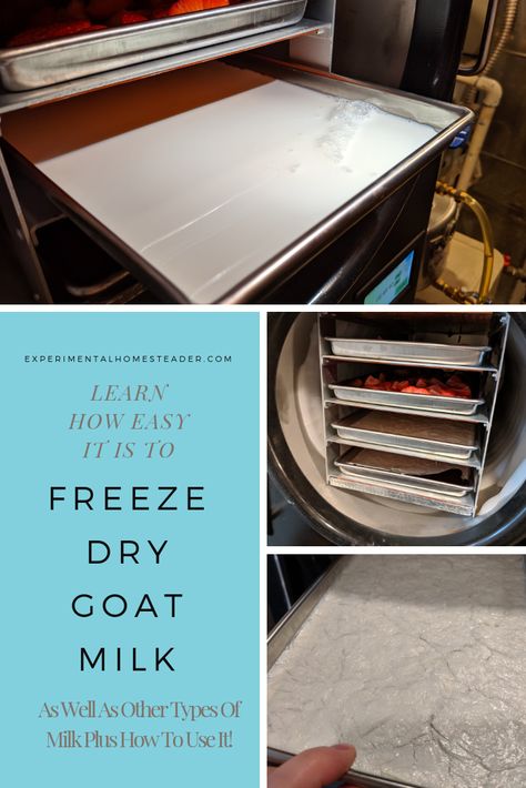 Learn how to freeze dry goat milk as well as other types of milk. Plus learn how to use it and how to store it long term. #howtofreezedrygoatmilk #freezedrygoatmilk #freezedrymilk #freezedryingfood #freezedrystrawberries #freezedryerrecipes Types Of Milk, Goat Milk Soap Recipe, Harvest Right Freeze Dryer, Freeze Dryer, Tiny Farm, Grape Nuts, Freezable Meals, Dried Corn, Freeze Drying Food