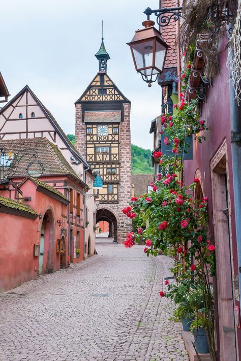 Discover the winding streets of #Riquewihr, France 🇫🇷. Nestled in the heart of Alsace's vineyards, this medieval gem boasts colorful half-timbered houses and old fortifications. A fairy-tale come to life! #FrenchElegance #MedievalMagic 🍇🏰. Riquewihr France, Alsace France, Honeymoon Planning, Beaux Villages, Colmar, Urban Sketching, Alsace, Old Town, The Great Outdoors