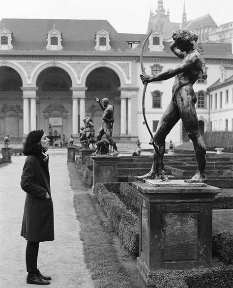 Eliot Erwitt, Elliott Erwitt Photography, Elliot Erwitt, Chestnut Tree, Elliott Erwitt, Palace Of Versailles, Retro Mode, Dark Academia Aesthetic, The Secret History