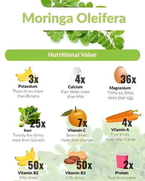 Nutrients Found In The Moringa Plant 🌱 😱 Get Moringa from the Store link In My Bio💚 Freezing Lemons, Benefits Of Moringa, Iron Vitamin, Tomato Nutrition, Calendula Benefits, Moringa Powder, Matcha Benefits, Lemon Benefits, Coconut Health Benefits