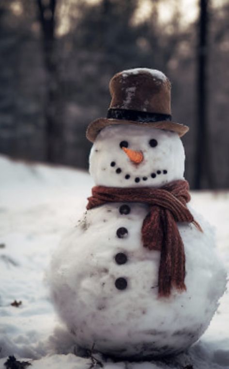 Snowman Real, Snowman Photos, White Background Photo, Wedding Journal, Happy Soul, Christmas Themes Decorations, Build A Snowman, Winter Beauty, Winter Scenery