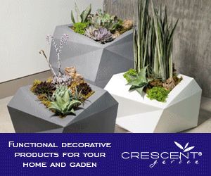 Garden Origami, Succulent Design, French Country Garden, Meteor Garden 2018, Magic Garden, Cement Planters, Tall Planters, Container Gardens, Kew Gardens