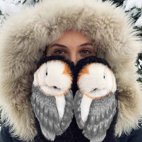 Nordic Mittens, Funny Owls, The Mitten, Winter Mittens, Wool Gloves, Handmade Plush, Owl Design, Cute Owl, Winter Clothing