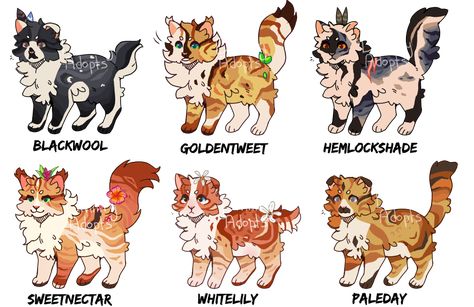 Cat Adopts, Warrior Cat Names, Cat Template, Cats Art Drawing, Cat Anatomy, Warrior Cats Fan Art, Warrior Cat Drawings, Warrior Cat Oc, Cat Oc