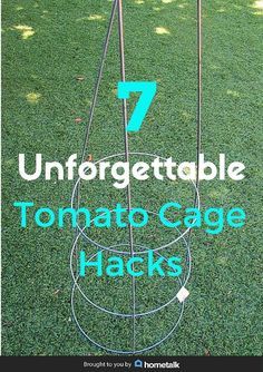 Tomato Cage Crafts, Plant Cages, Growing Tomatoes In Containers, Outdoor Chandelier, Tomato Cages, Tomato Garden, Garden Girls, Humming Bird Feeders, Growing Tomatoes