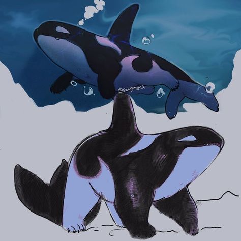 Orca Characters Design, Cute Creature Concept Art, Orca Oc, Cute Mythical Creatures, Orca Drawing, Fantasy Pets, Orca Art, Mythical Animal, Cute Fantasy Creatures