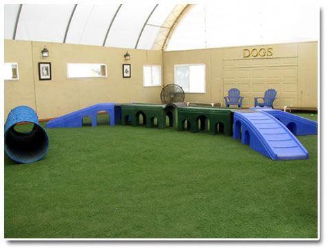 Indoor dog park - someday in my barn Dog Boarding Ideas, Dog Play Area, Indoor Dog Park, Indoor Park, Boarding Facility, Indoor Play Area, Doggie Daycare, Doggy Daycare, Quonset Hut