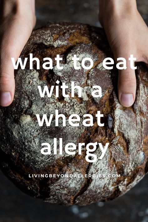 Dairy And Wheat Free Diet, Non Wheat Diet, Wheat Free Flour, Wheat Allergy Food List, No Wheat Recipes, No Wheat Diet, Wheat Allergy Diet, Wheat And Dairy Free Recipes, Wheat Free Foods